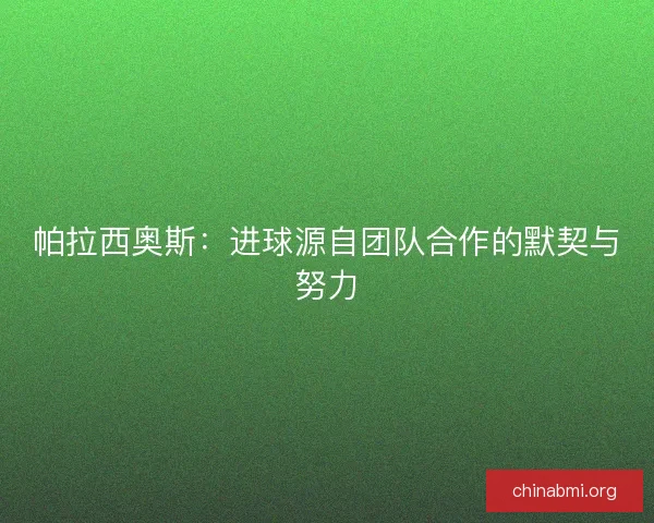 帕拉西奥斯:进球源自团队合作的默契与努力 帕拉西奥斯:进球源自团队合作的默契与努力