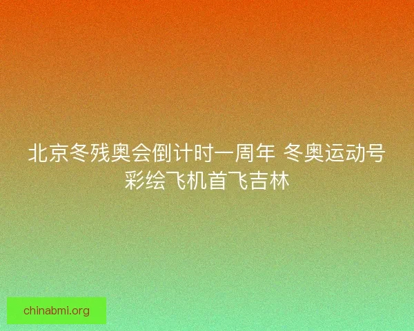 北京冬残奥会倒计时一周年 冬奥运动号彩绘飞机首飞吉林 北京冬残奥会倒计时一周年 冬奥运动号彩绘飞机首飞吉林