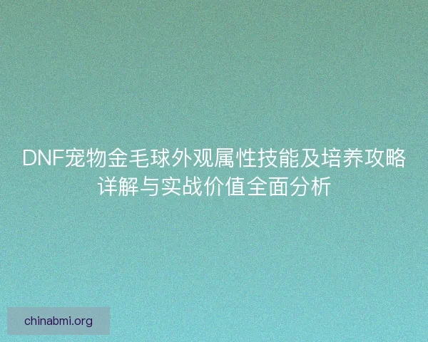 DNF宠物金毛球外观属性技能及培养攻略详解与实战价值全面分析 DNF宠物金毛球外观属性技能及培养攻略详解与实战价值全面分析