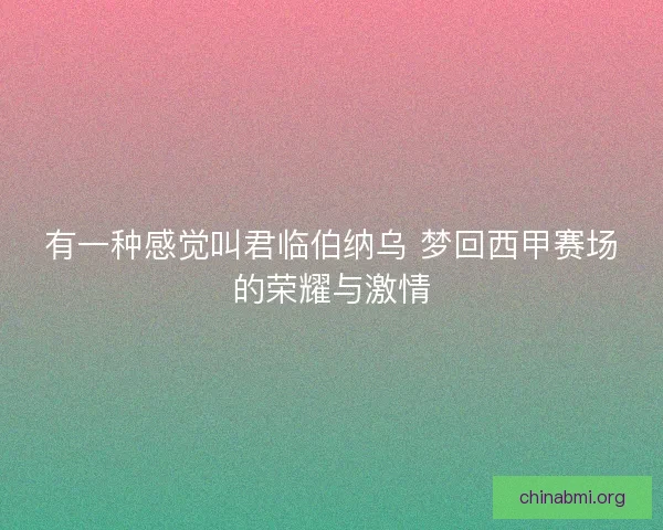 有一种感觉叫君临伯纳乌 梦回西甲赛场的荣耀与激情